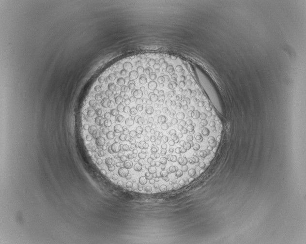 X0000114400626200911271517