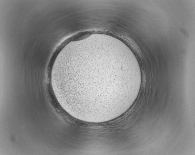 X0000114400628200911271518