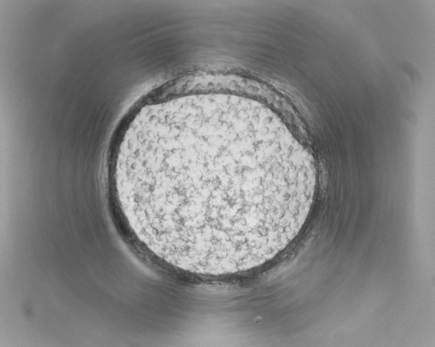 X0000114400630200911271518