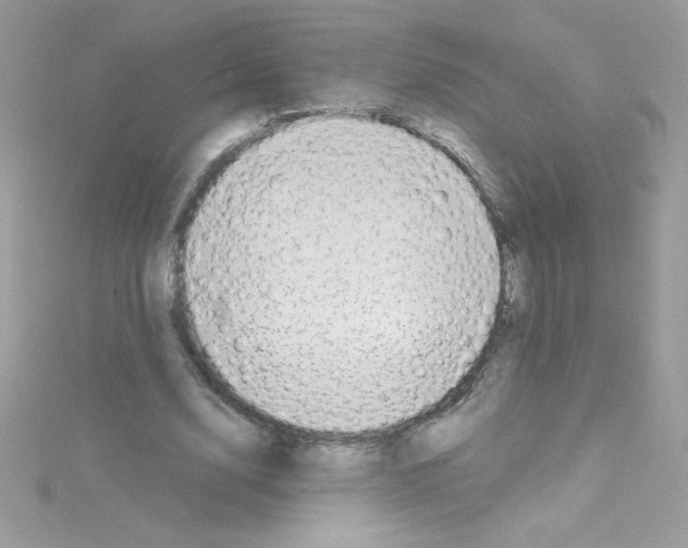 X0000114400632200911271518