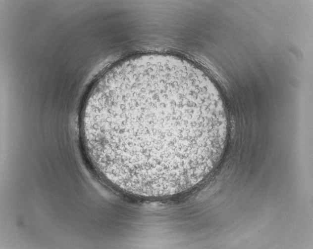 X0000114400634200911271518