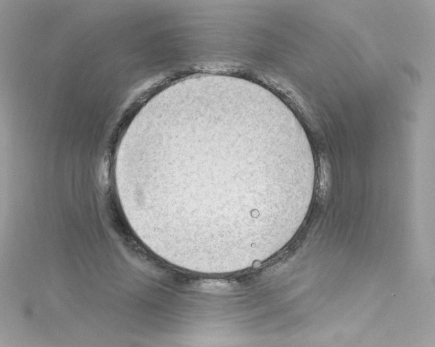 X0000114400636200911271518