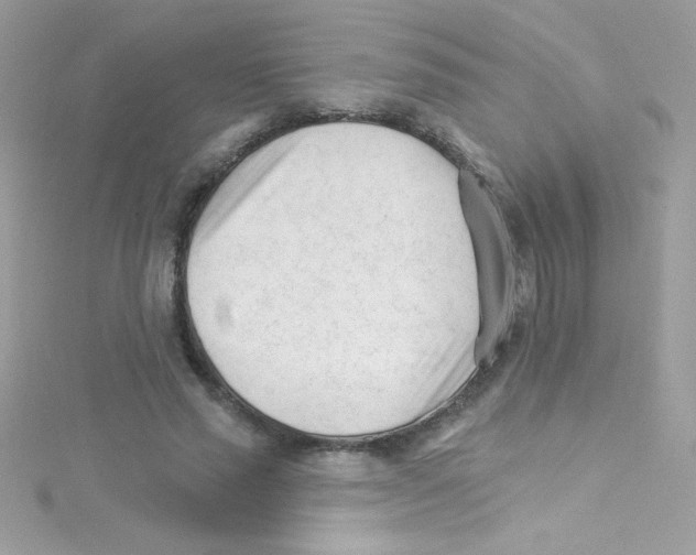 X0000114400637200911271518