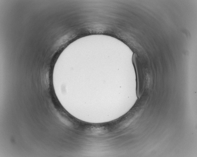 X0000114400638200911271518