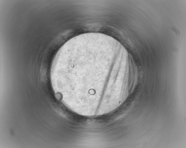 X0000114400641200911271518