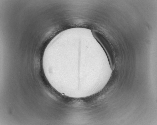 X0000114400642200911271518