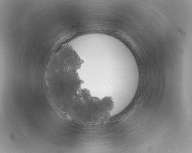 X0000114400644200911271518