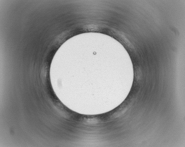 X0000114400645200911271518