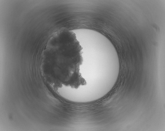 X0000114400646200911271518