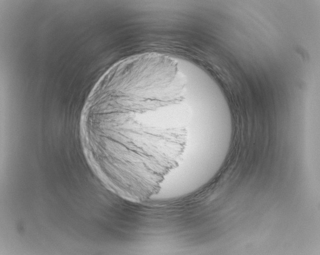 X0000114400649200911271518