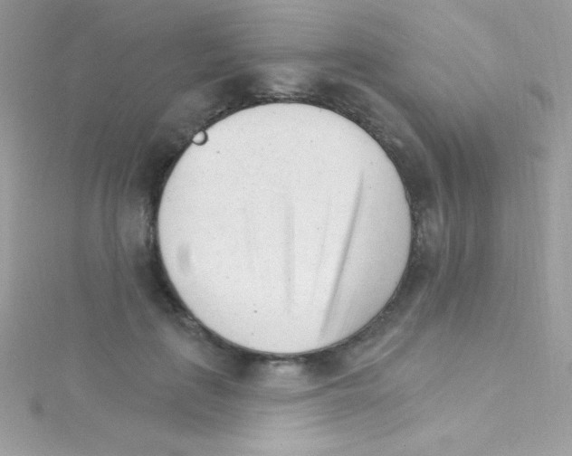 X0000114400651200911271518