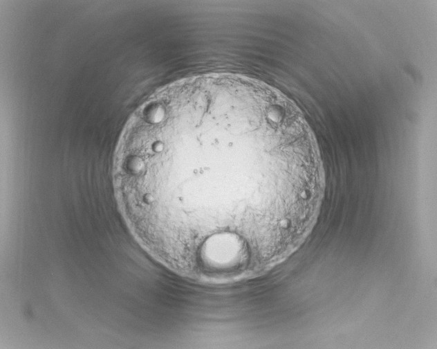 X0000114400654200911271518