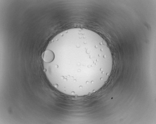 X0000114400659200911271518