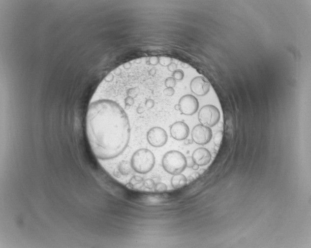 X0000114400662200911271518