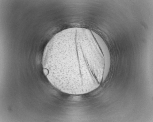 X0000114400665200911271518