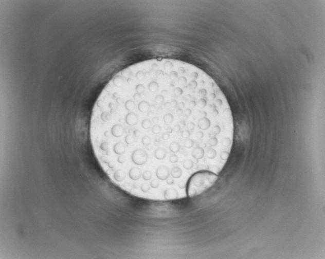 X0000114400666200911271518