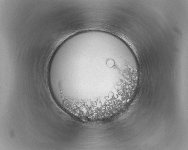 X0000114400673200911271517