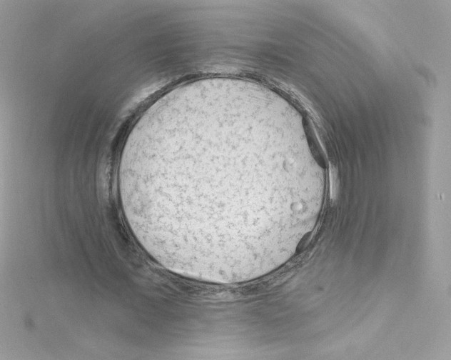 X0000114400675200911271517