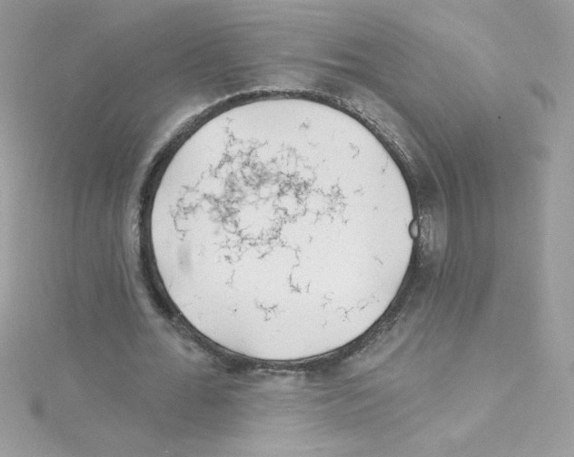 X0000114400676200911271517