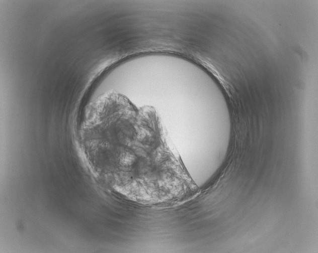 X0000114400679200911271517