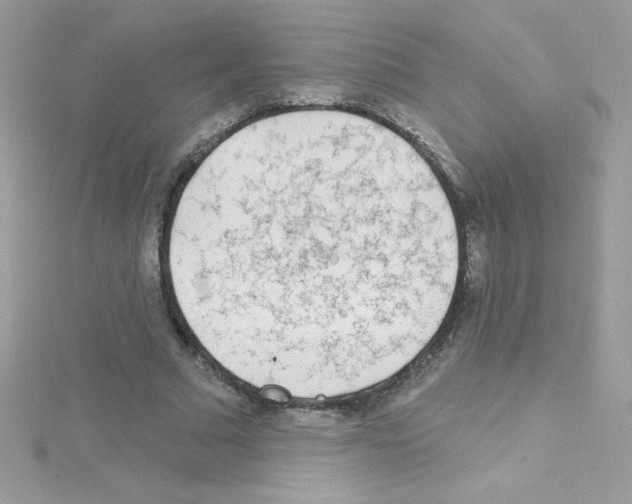 X0000114400681200911271517