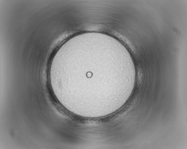 X0000114400682200911271517