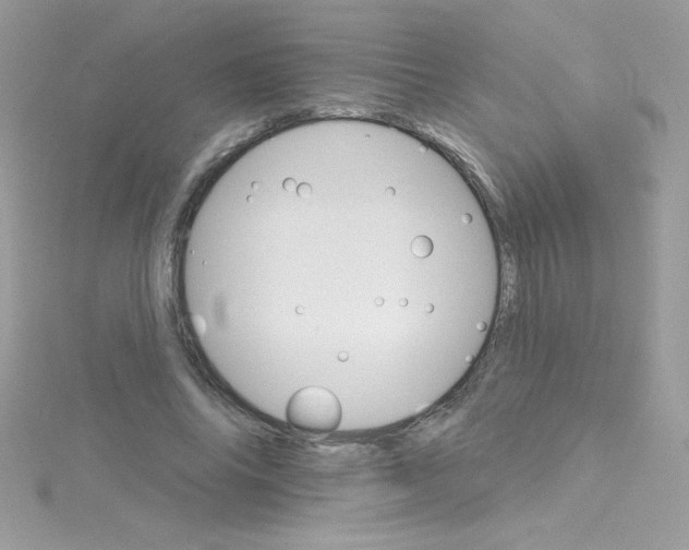 X0000114400686200911271517