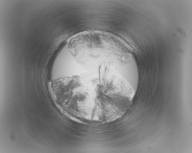 X0000114400687200911271517