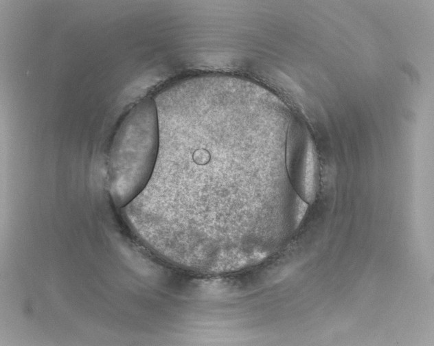 X0000114400688200911271517