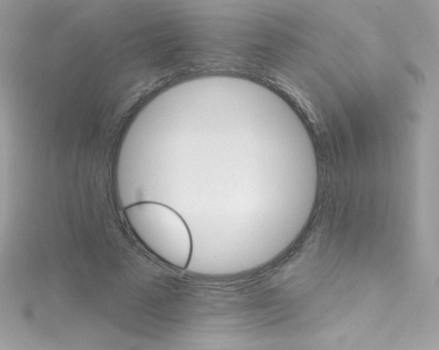 X0000114400689200911271517