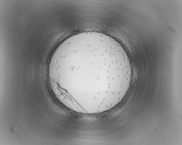 X0000114400690200911271517