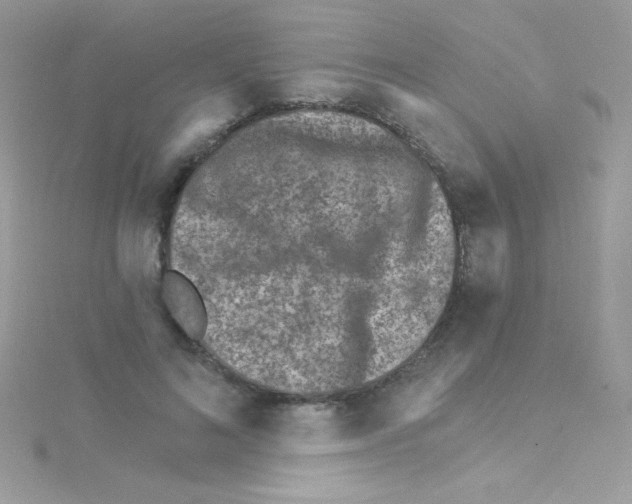 X0000114400692200911271517