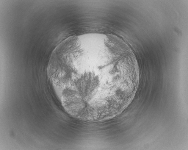 X0000114400695200911271517