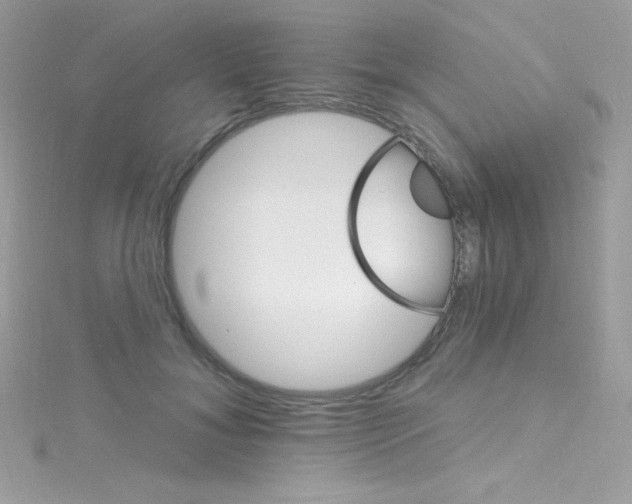 X0000114400700200911271517