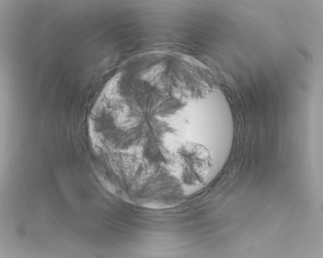 X0000114400703200911271517