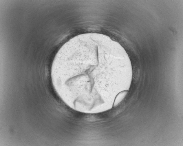 X0000114400704200911271517