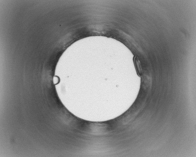 X0000114400707200911271517