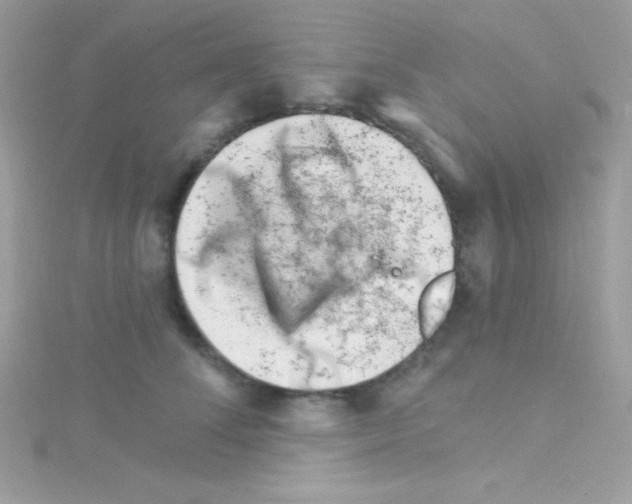 X0000114400708200911271517