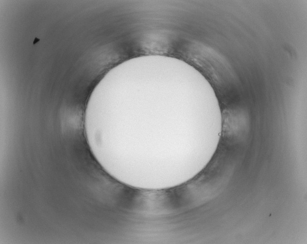 X0000114400713200911271517