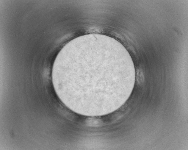 X0000114400714200911271517