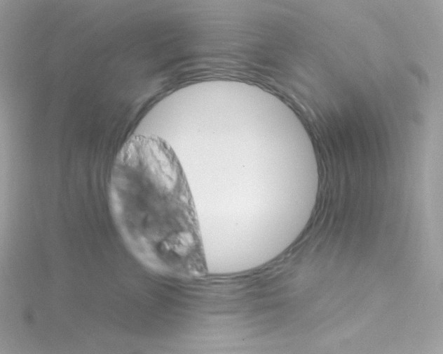 X0000114400715200911271517