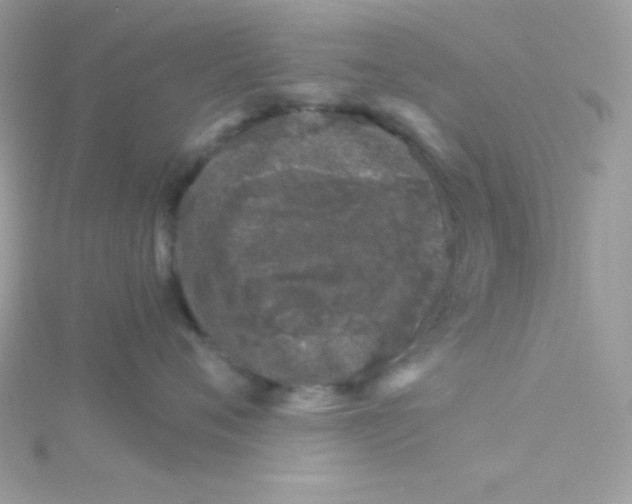 X0000114400720200911271517