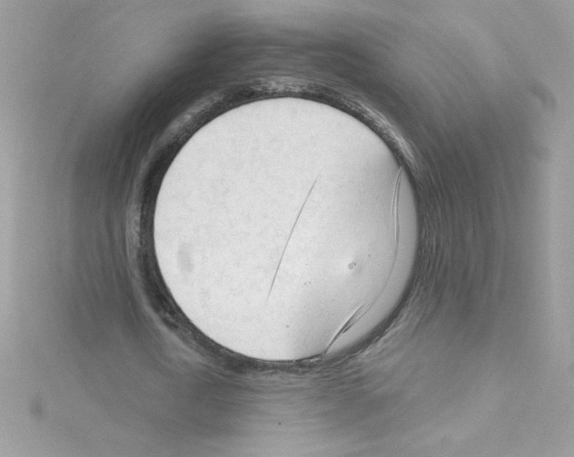 X0000114400722200911271516