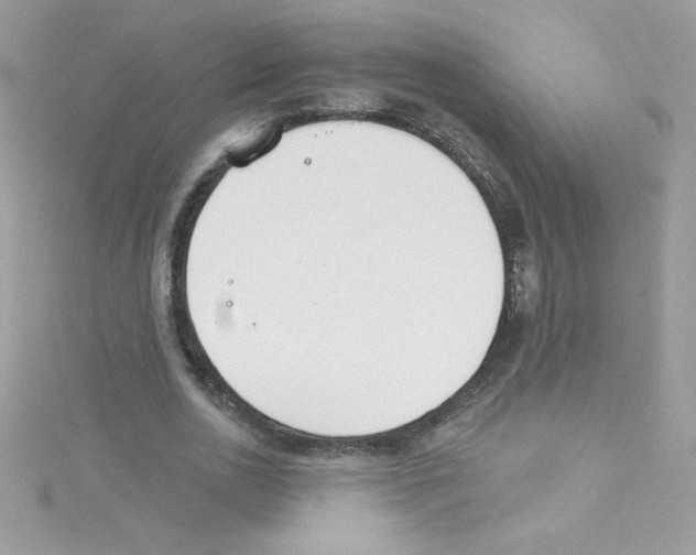 X0000114400726200911271516