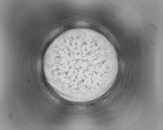 X0000114400729200911271516