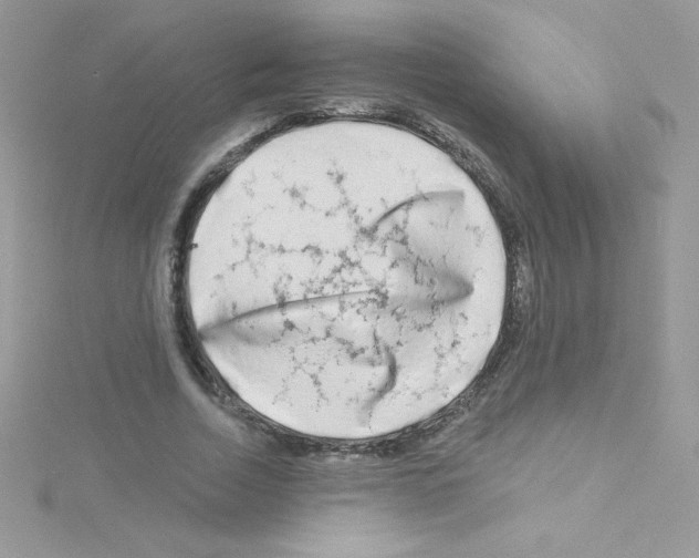 X0000114400730200911271516