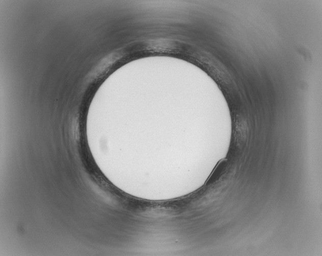 X0000114400734200911271517