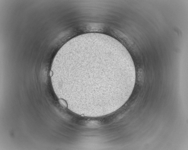 X0000114400741200911271517