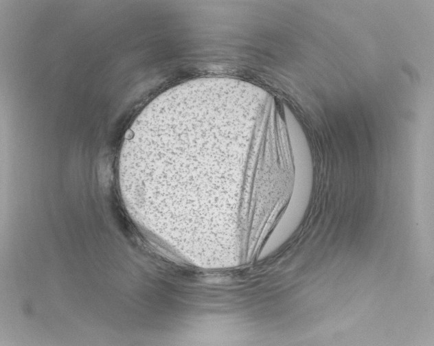 X0000114400746200911271517