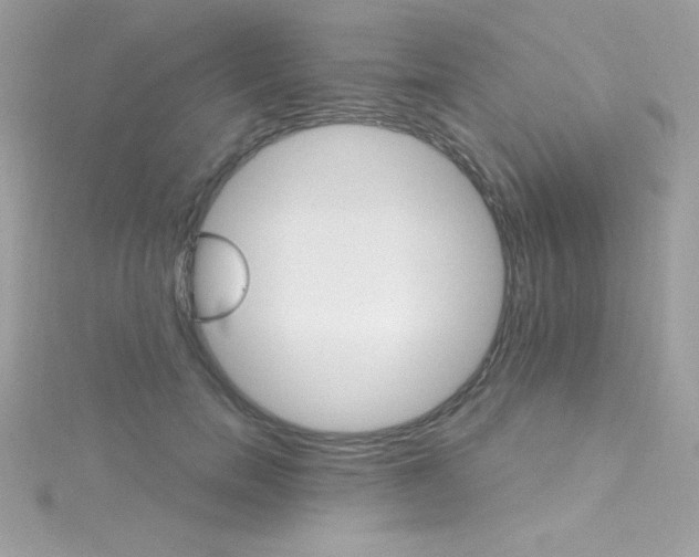 X0000114400750200911271517